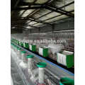 Mesh Wire Farming Rabbit Cage en Kenia Farm for Hot Sale